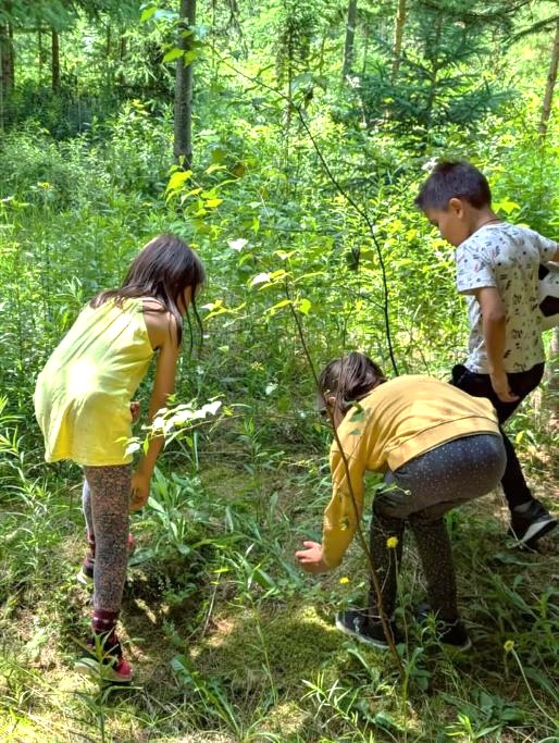 Bain de forêt